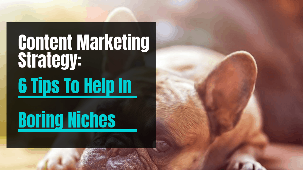 Content Marketing Strategy - 6 Tips To Help In Boring Niches